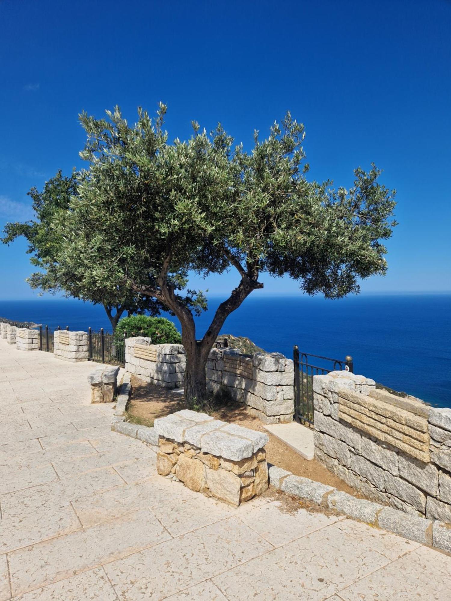 Casa Olive Daire San Vito Lo Capo Dış mekan fotoğraf